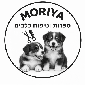 קבענו מוריה ספרית כלבים