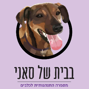 קבענו בבית של סאני - מספרה התנהגותית לכלבים